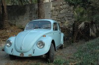 vw cox à vendre