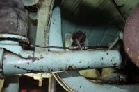 flexible frein arrière combi t1