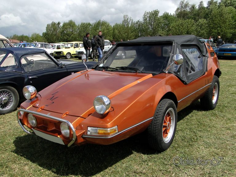 Buggy LM2 SOVRA et son faisceau électrique